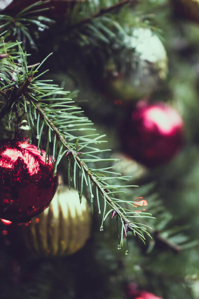 Golden Glow Festivities - Image 2