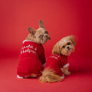 North Pole Pals Ensemble