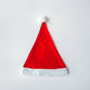 Holiday Hound & Human Harmony